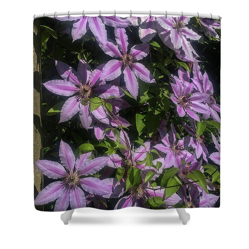 East Lansing Michigan Shower Curtain featuring the photograph Trellis by Joseph Yarbrough