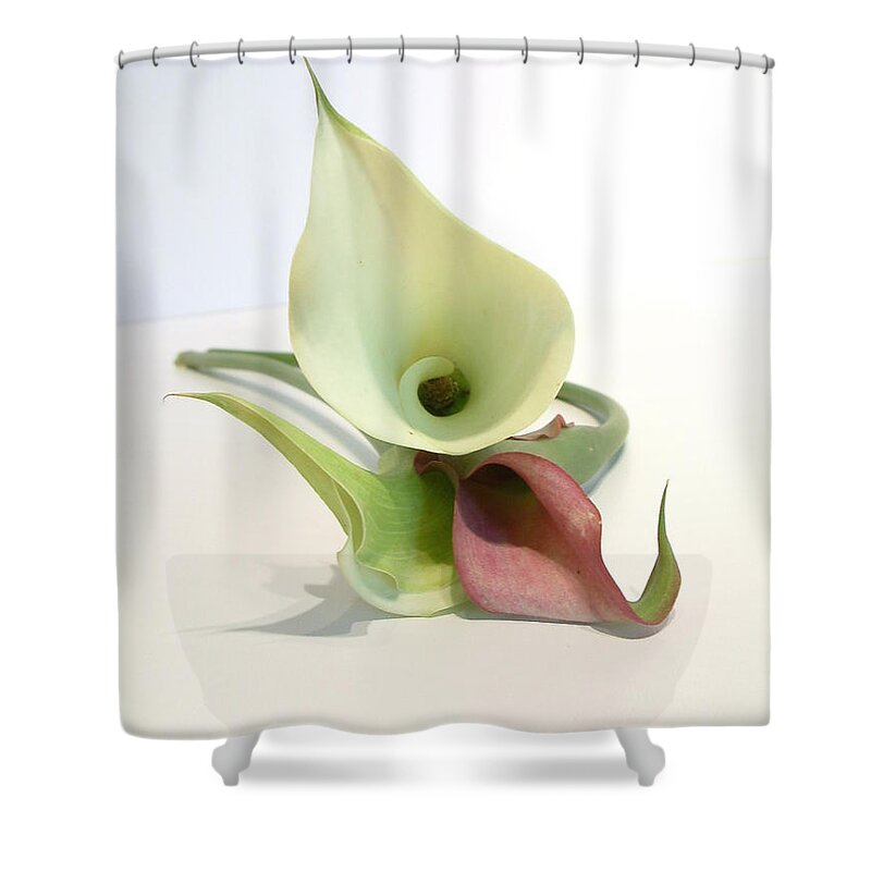 Callas Lily Shower Curtain featuring the photograph Tres Callas by Thomas Pipia