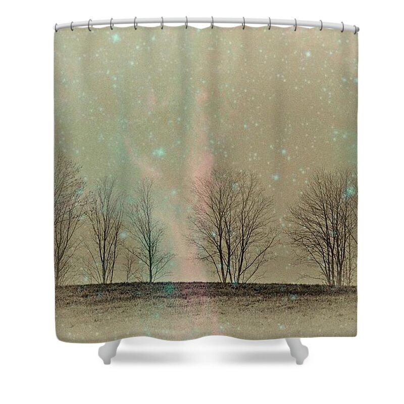 Trees Shower Curtain featuring the photograph Tress in Starlight by Phyllis Meinke