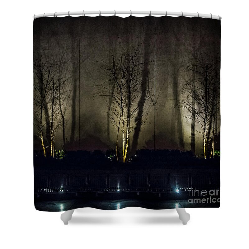Birch Shower Curtain featuring the photograph Tri-Birch by James Aiken