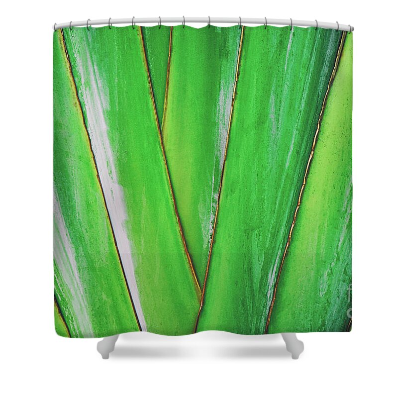 Plant Shower Curtain featuring the photograph Tropical Abstract by Scott Pellegrin