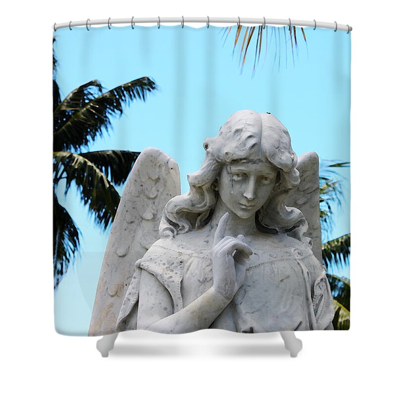 Susan Vineyard Shower Curtain featuring the photograph Tropical Angel With Tear by Susan Vineyard