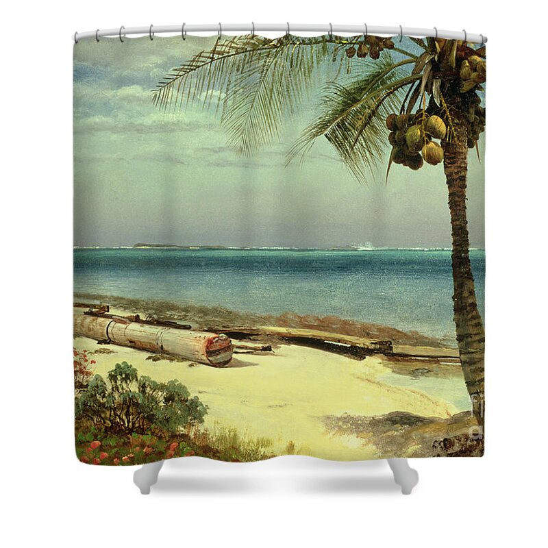 Shore; Exotic; Palm Tree; Coconut; Sand; Beach; Sailing Shower Curtain featuring the painting Tropical Coast by Albert Bierstadt