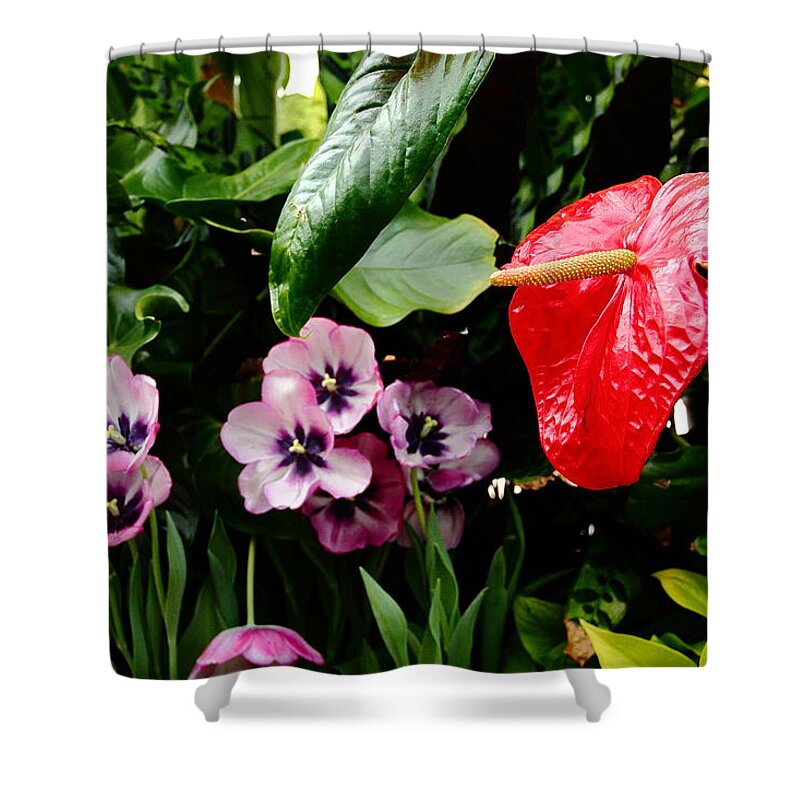 Flower Shower Curtain featuring the photograph Tropical Flamingo Red by Allen Nice-Webb