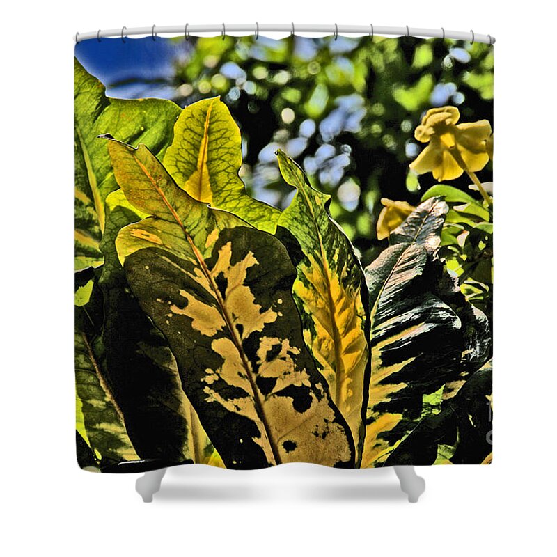 Tropical Foliage Shower Curtain featuring the photograph Tropical Foliage a-la Monet by David Frederick