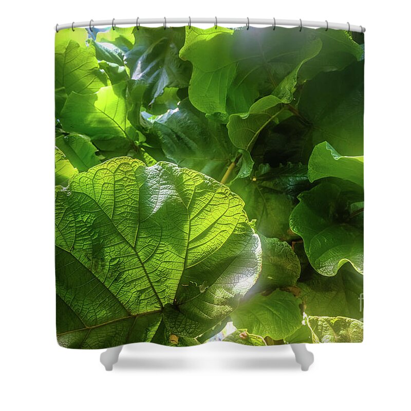 Tropical Forest By Marina Usmanskaya Shower Curtain featuring the photograph Tropical forest by Marina Usmanskaya