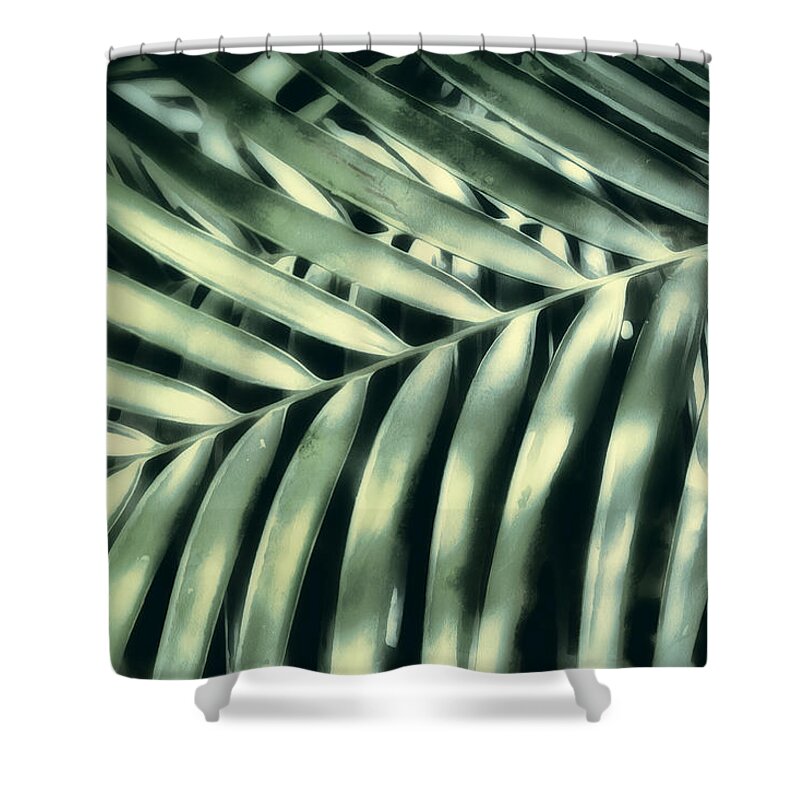 Palm Leaf Shower Curtain featuring the photograph Tropical Light And Shadow by Ann Powell