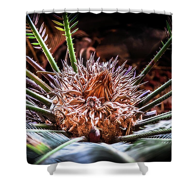 Tropical Palms Shower Curtain featuring the photograph Tropical Moments by Karen Wiles