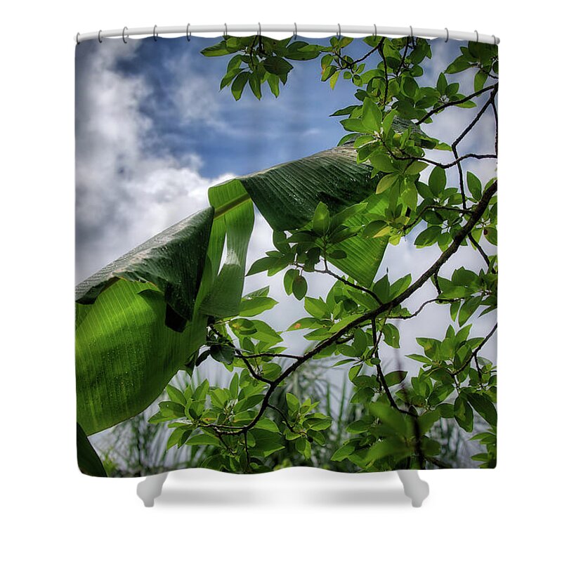 Punta Shower Curtain featuring the photograph Tropical Sky by Ross Henton