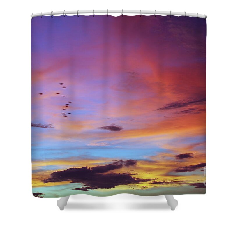 Inspiring Shower Curtain featuring the photograph Tropical North Queensland Sunset Splendor by Kerryn Madsen-Pietsch