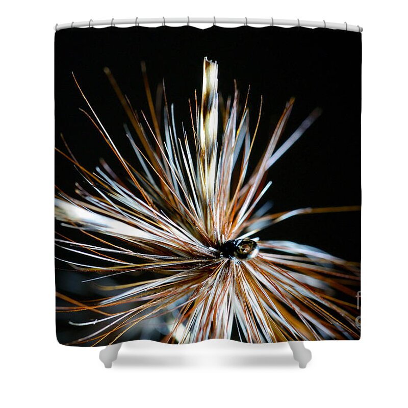 Fly Fishing Shower Curtain featuring the photograph Trout fly by Glenn Gordon