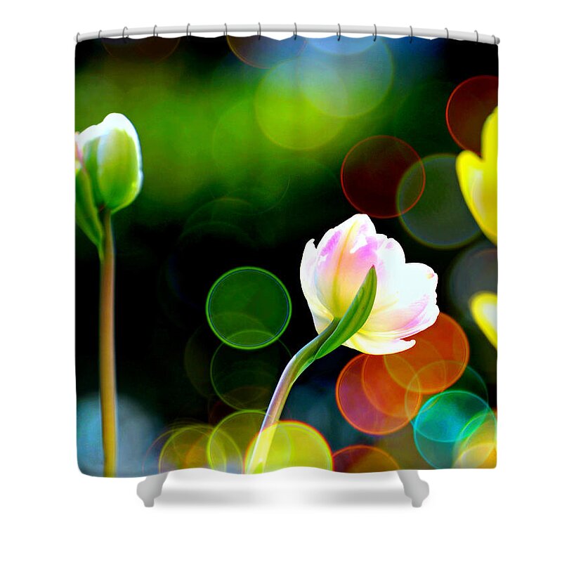 Flowers Shower Curtain featuring the photograph Try A Little Day Dream by Diana Angstadt
