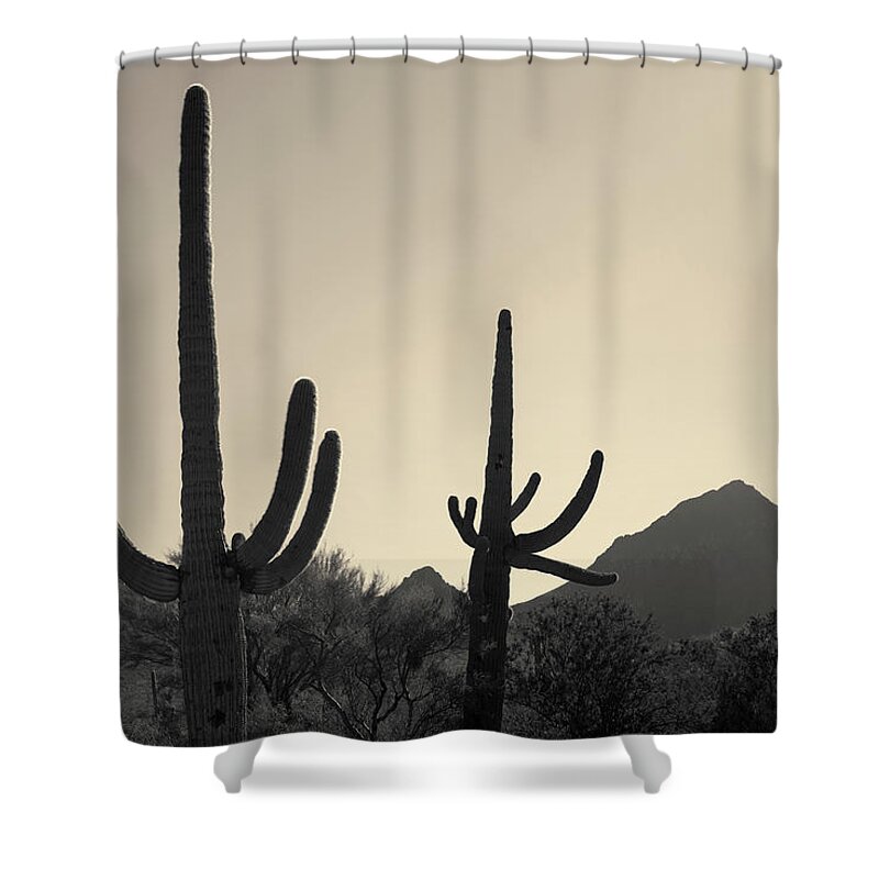 Landscape Shower Curtain featuring the photograph Tucson IV Toned by David Gordon