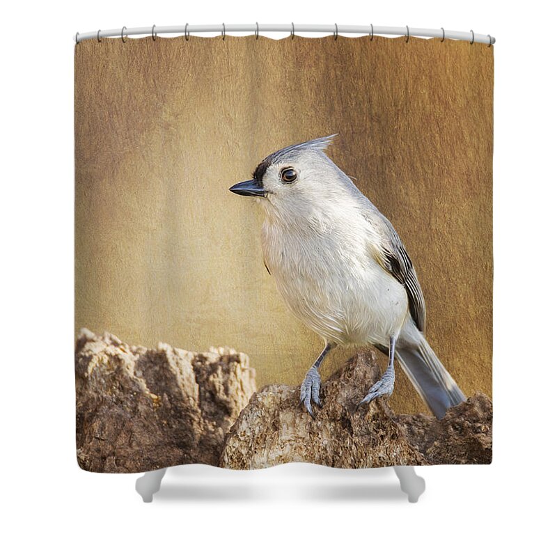 Baeolophus Shower Curtain featuring the photograph Tufted On Tree Bark by Bill and Linda Tiepelman