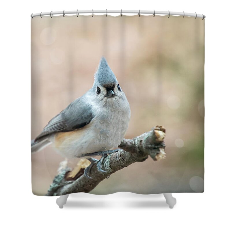 Bird Shower Curtain featuring the photograph Tufted Titmouse by Cathy Kovarik