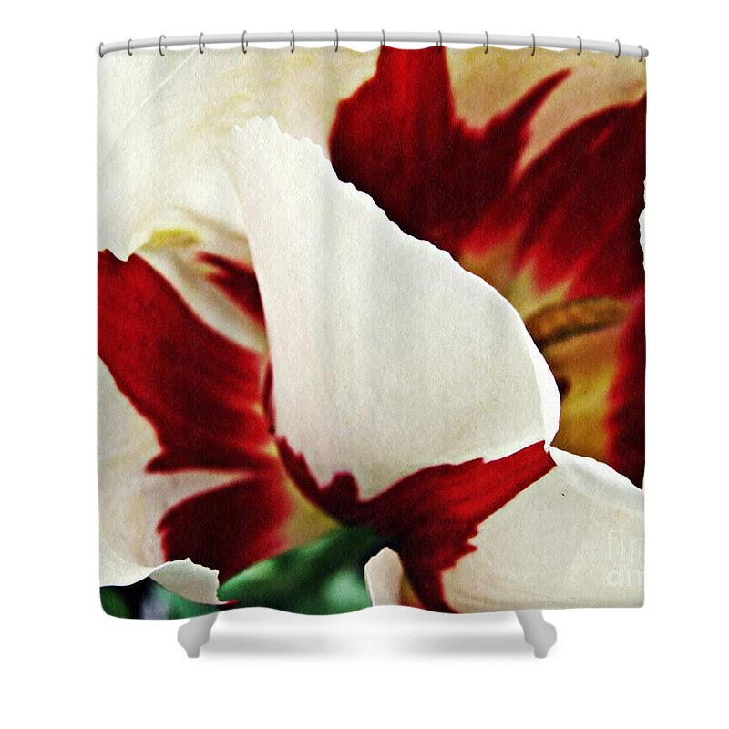 Tulip Shower Curtain featuring the photograph Tulip Abstract 10 by Sarah Loft