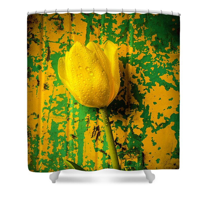 Yellow Shower Curtain featuring the photograph Tulip Against Yellow Green Background by Garry Gay