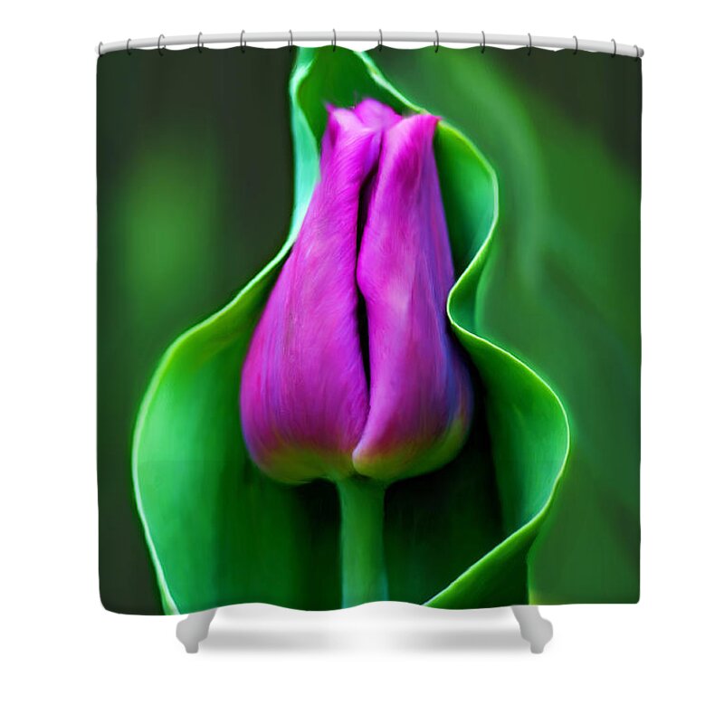 Tulip Shower Curtain featuring the photograph Tulip Cradled In Leaf by Michelle Joseph-Long