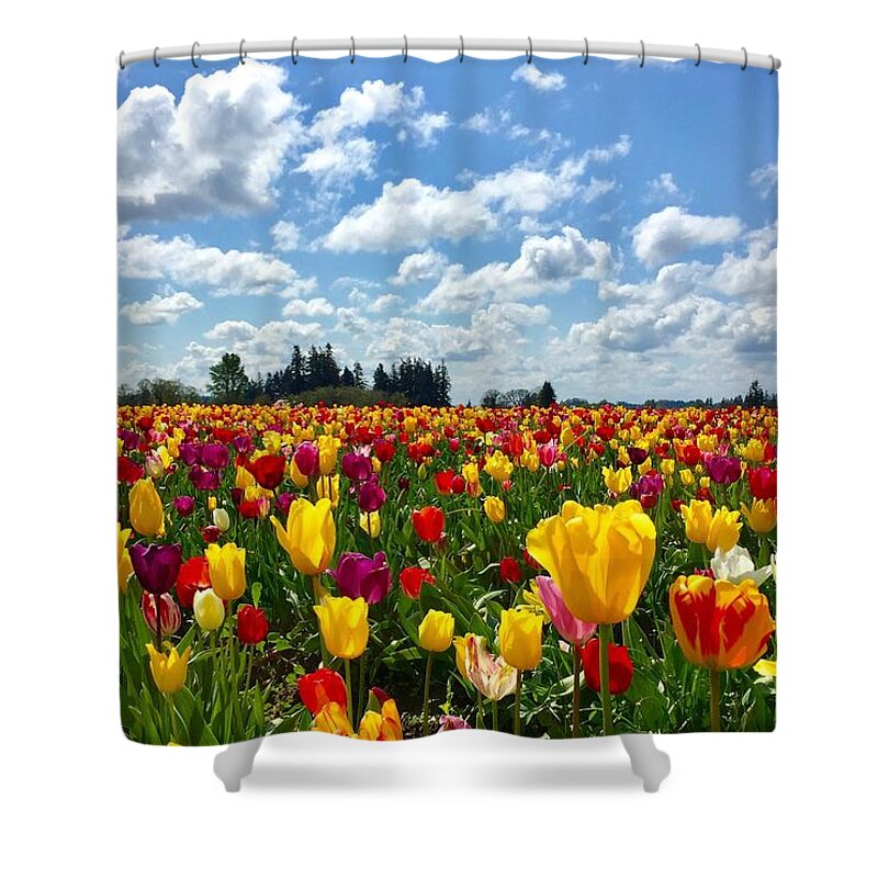 Tulip Shower Curtain featuring the photograph Tulip Field by Brian Eberly