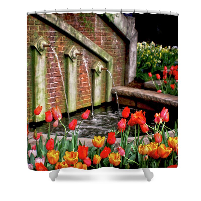 Water Fountain Shower Curtain featuring the photograph Tulip Garden at Water Fountain by Sandy Moulder
