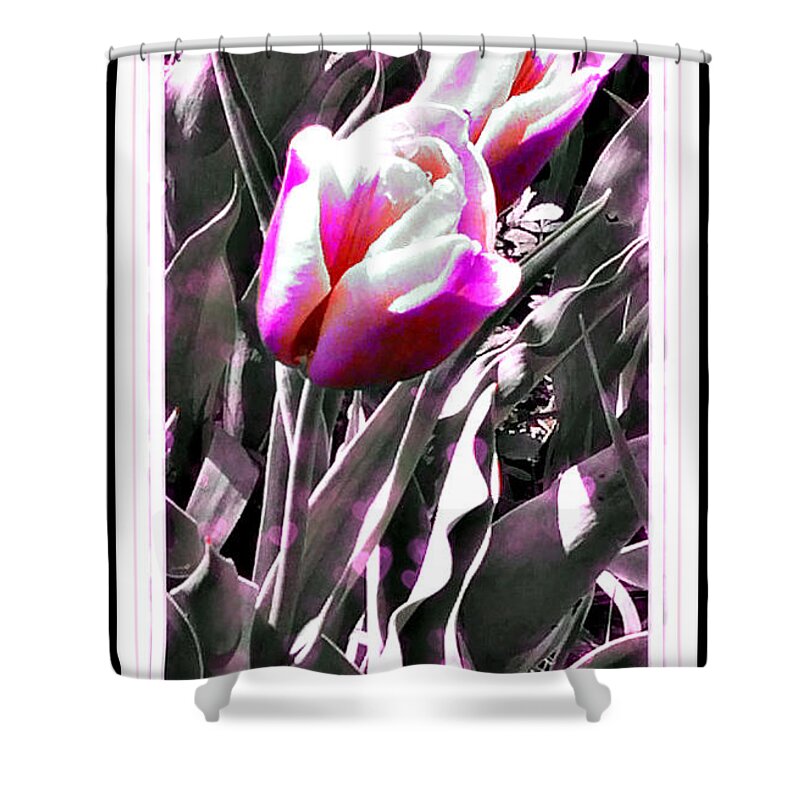Tulip In Magenta Shower Curtain featuring the digital art Tulip in Magenta by Christine Nichols