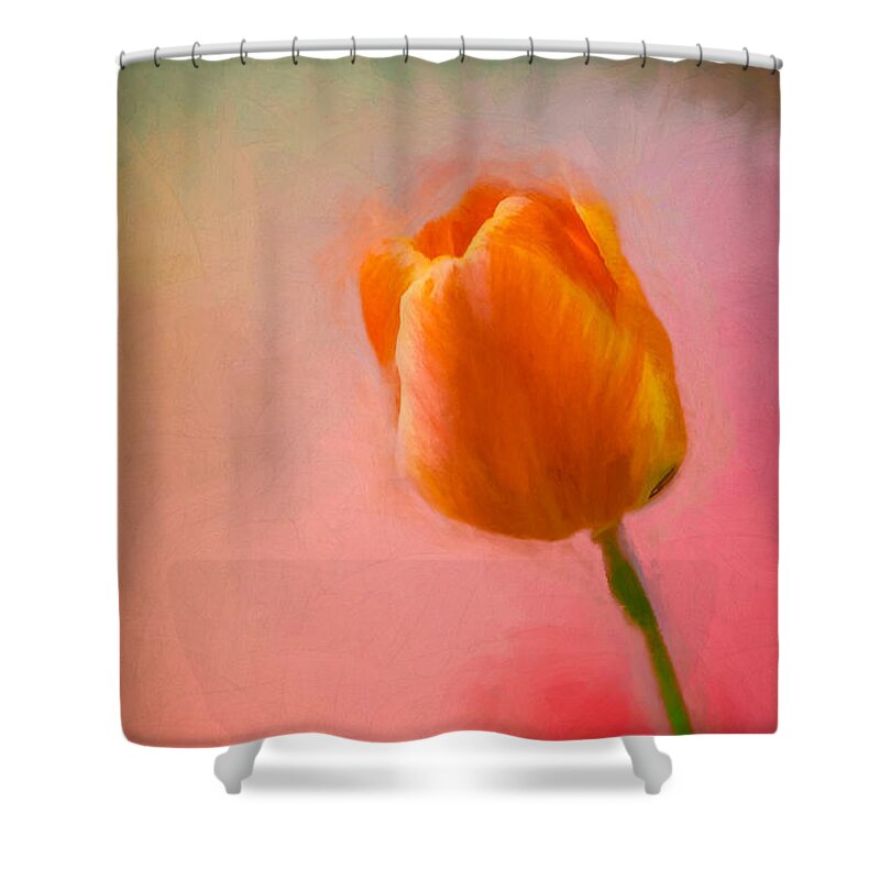 Flower Shower Curtain featuring the photograph Tulip on the Porch by Ches Black