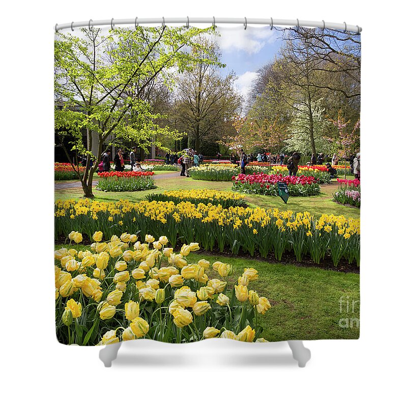 Tulips Shower Curtain featuring the photograph Tulips and other spring bulbs at Keukenhof Gardens Holland by Louise Heusinkveld