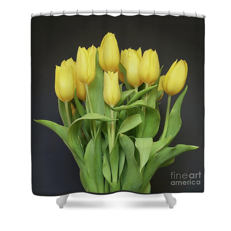 Tulips Shower Curtain featuring the photograph Tulips by the Dozen by Ann Horn