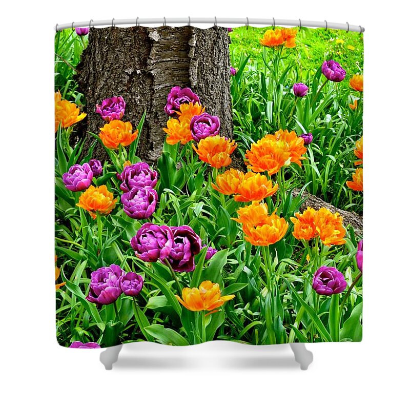 Tulips Shower Curtain featuring the photograph Tulips by Monika Salvan