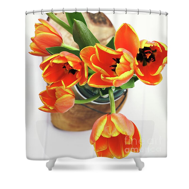 Tulips Shower Curtain featuring the pyrography Tulips by Stephanie Frey