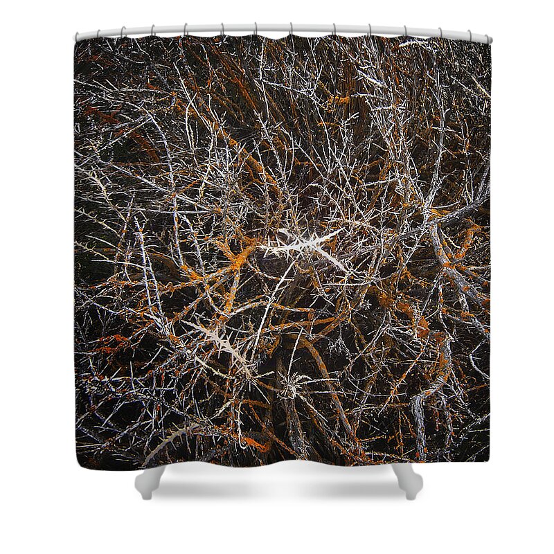Painted Hills Shower Curtain featuring the photograph Tumbleweed by John Christopher