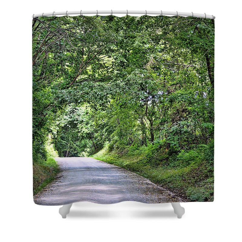 Tree Shower Curtain featuring the photograph Tunnel of Trees by Cricket Hackmann