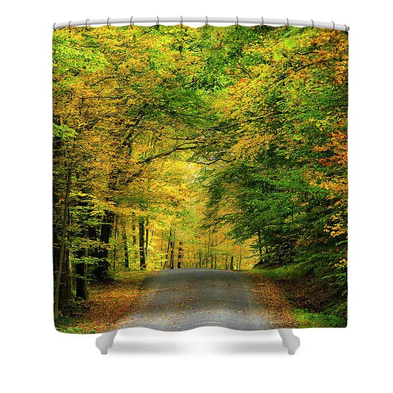 Fall Trees Shower Curtain featuring the photograph Tunnel Of Trees Rural Landscape by Christina Rollo