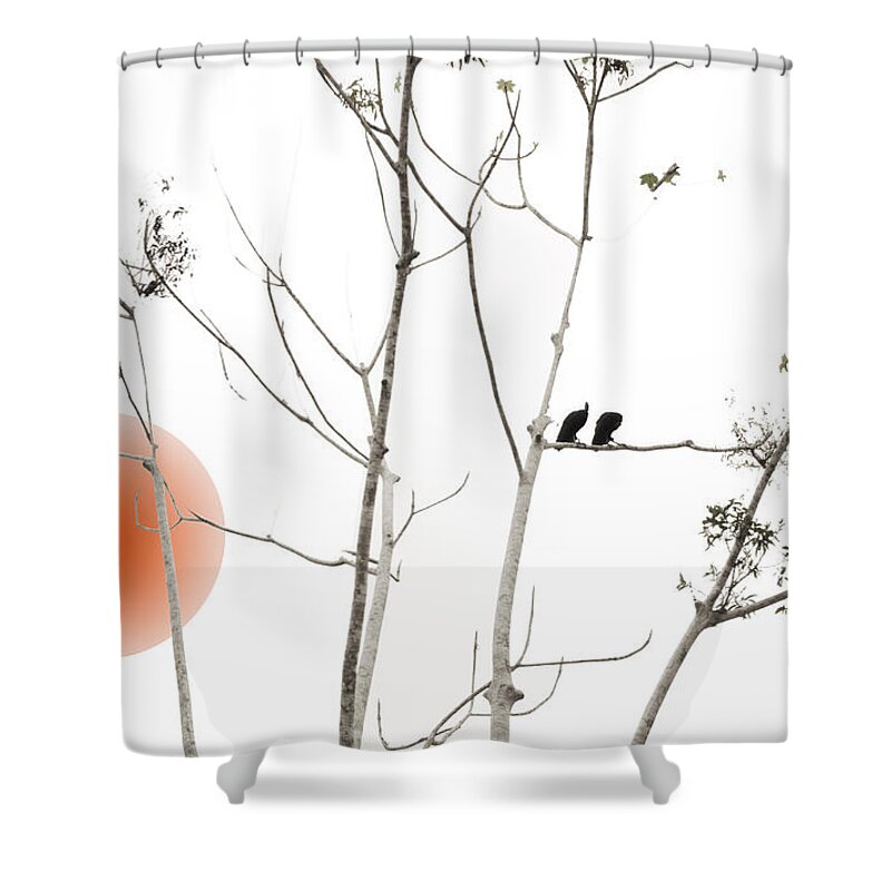 Turkey Vultures Shower Curtain featuring the photograph Turkey Vultures by Jessica Levant
