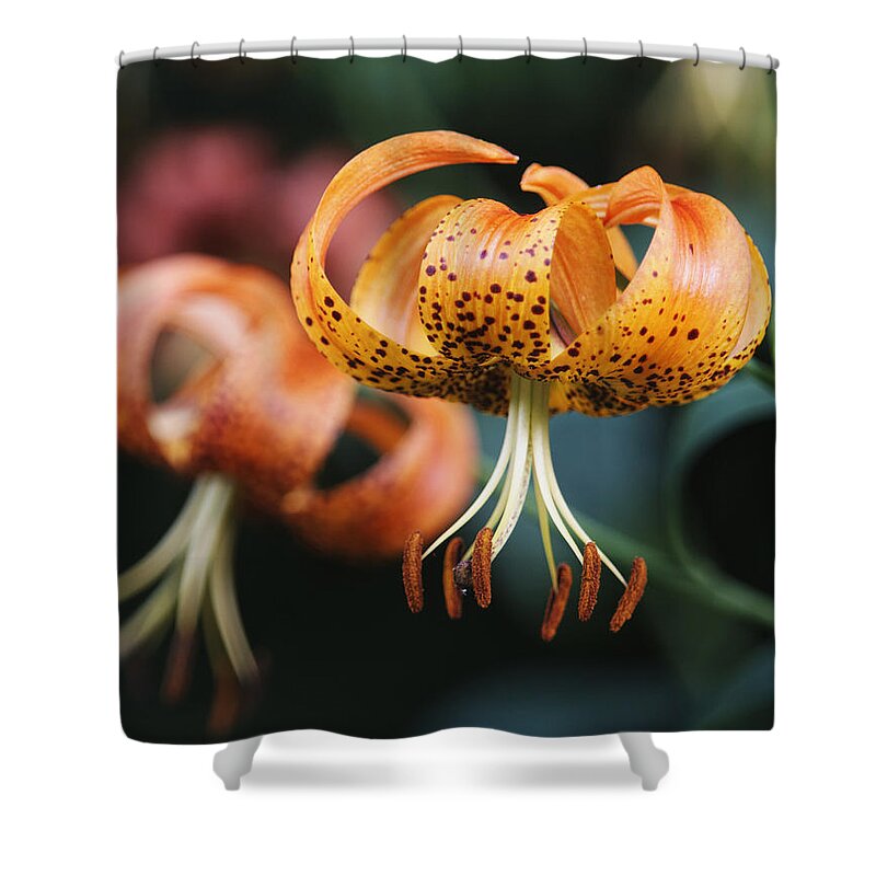 Flower Shower Curtain featuring the photograph Turks Cap by Harold Stinnette