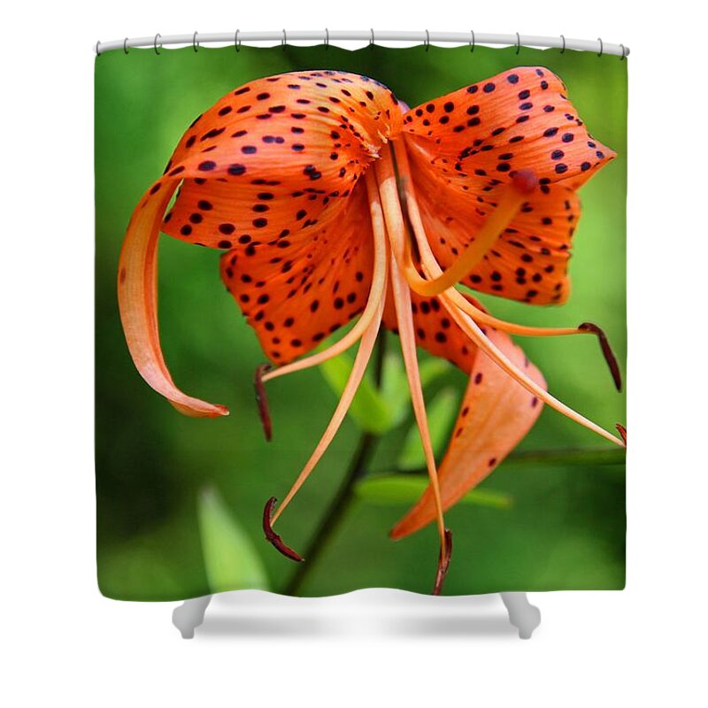 Orange Shower Curtain featuring the photograph Turn Up the Heat by Michiale Schneider