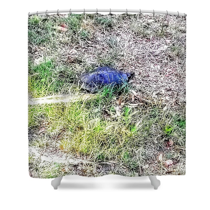 Turtle Shower Curtain featuring the photograph Turtle Crossing by Suzanne Berthier