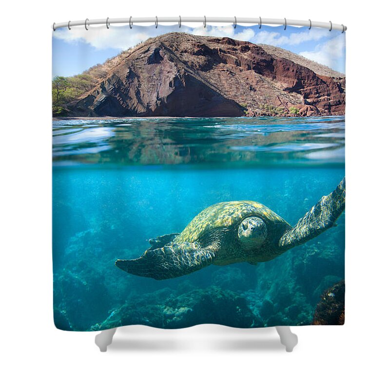 Above Shower Curtain featuring the photograph Turtle Town by David Olsen