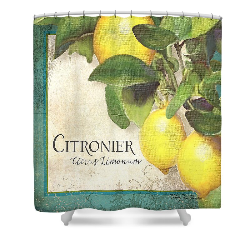 Lemon Shower Curtain featuring the painting Tuscan Lemon Tree - Citronier Citrus Limonum Vintage Style by Audrey Jeanne Roberts