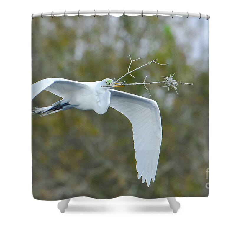 Great Shower Curtain featuring the photograph Twiggy by Quinn Sedam