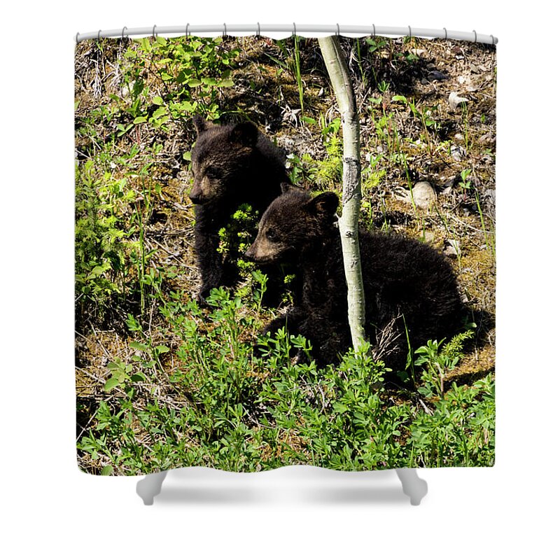 Twins Shower Curtain featuring the photograph Twin Power by Louise Magno
