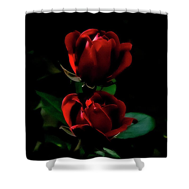 Flowers Shower Curtain featuring the digital art Twin Reds by Ed Stines