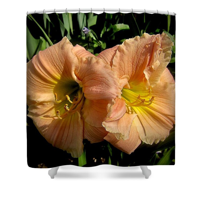 Blossoms Shower Curtain featuring the photograph Twin Souls by Elizabeth Tillar