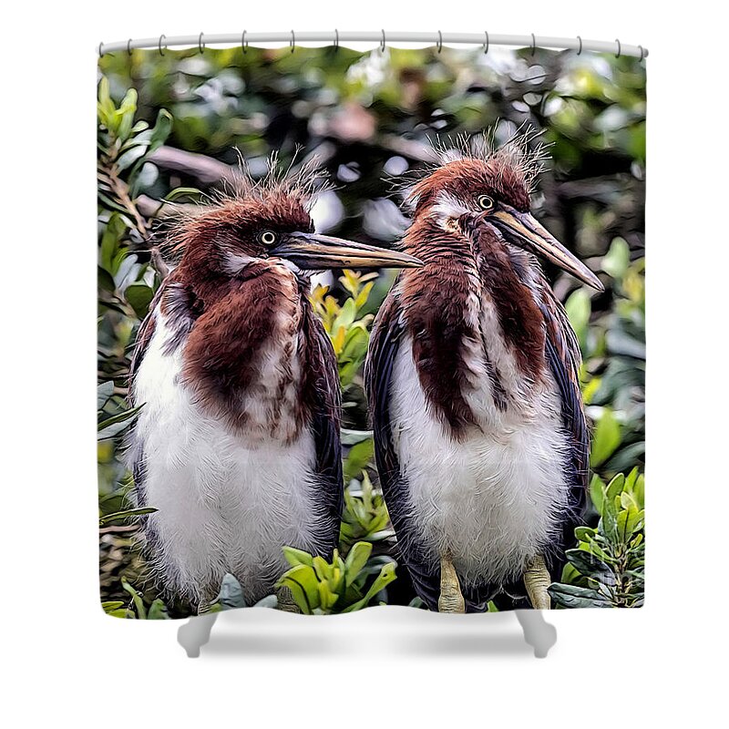 Birds Shower Curtain featuring the mixed media Twins by DB Hayes