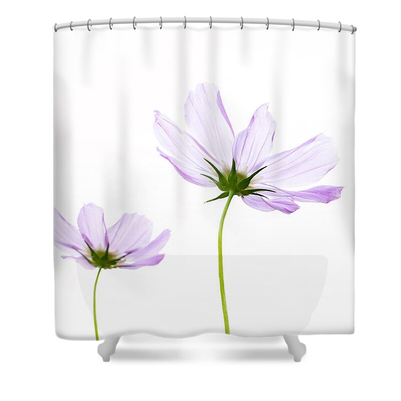 Pink Cosmos Flowers Shower Curtain featuring the photograph Twins by Marina Kojukhova