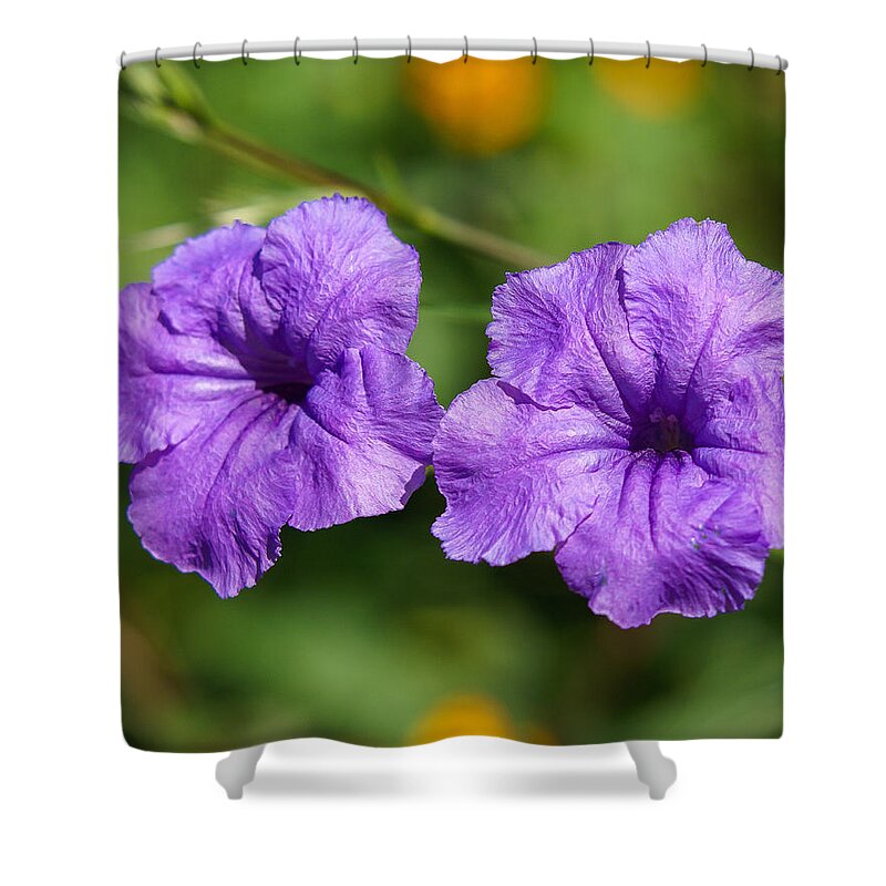 Purple Flower Shower Curtain featuring the photograph Twins by Robert L Jackson