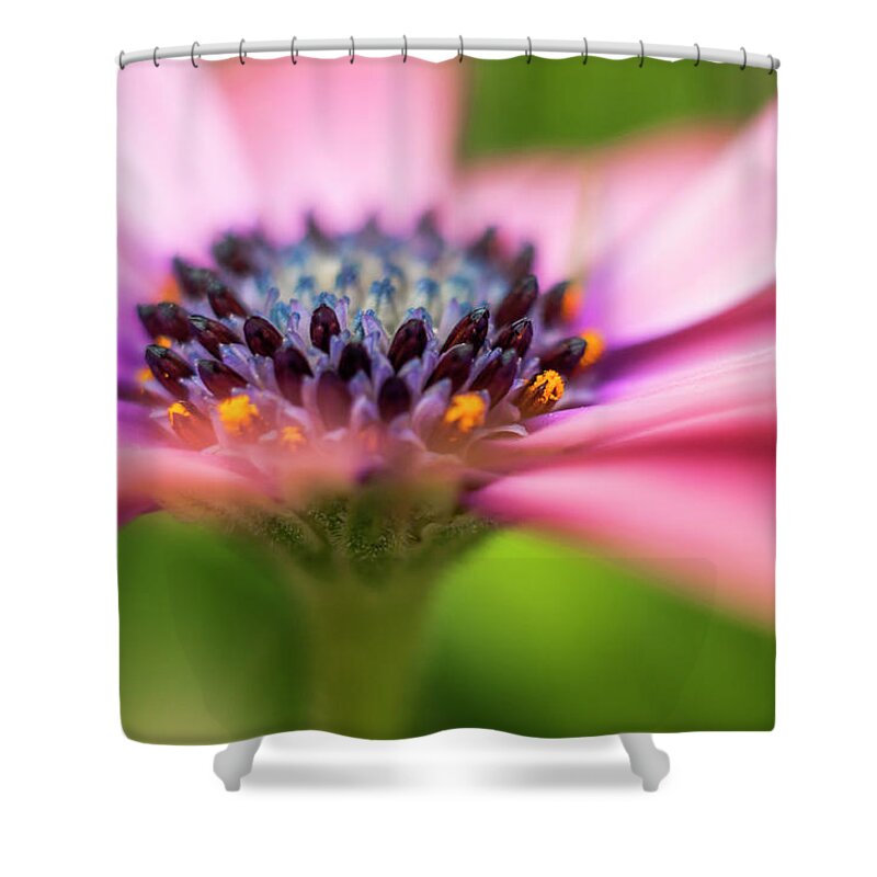 Flowers Shower Curtain featuring the photograph Whirling Dervish. by Usha Peddamatham