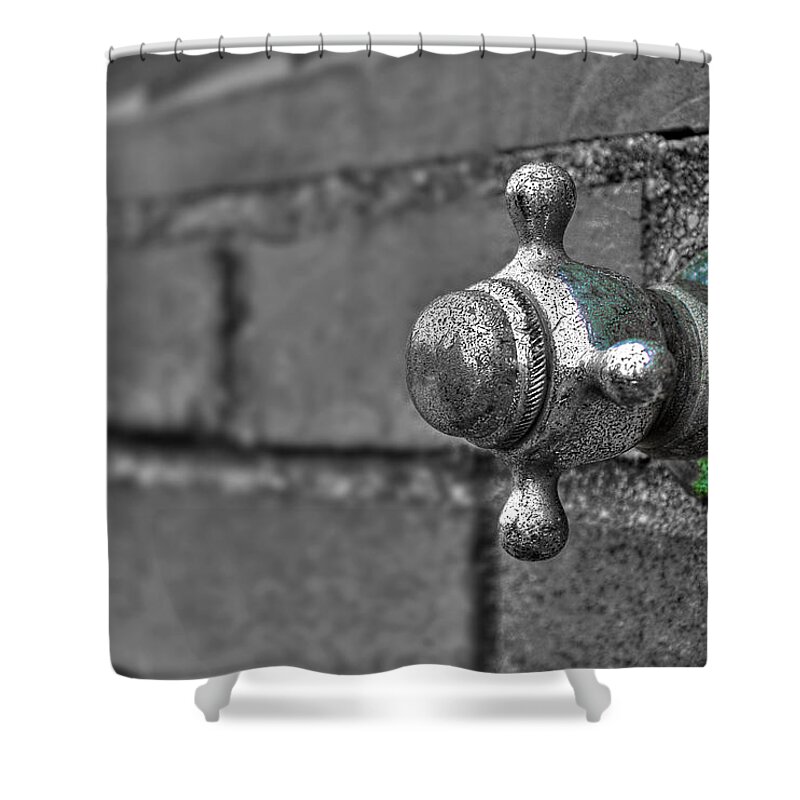 Beach Shower Curtain featuring the photograph Twist And Turn by Evelina Kremsdorf