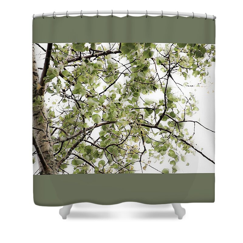 Birch Shower Curtain featuring the photograph Twist and Turn - by Julie Weber