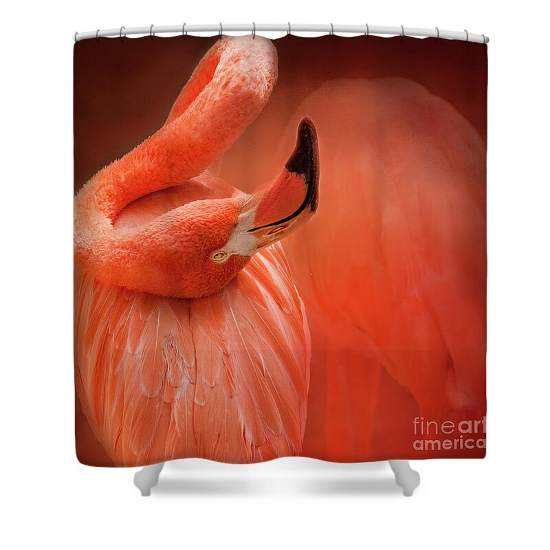 Flamingo Shower Curtain featuring the photograph Twisted Flamingo by Pam Holdsworth
